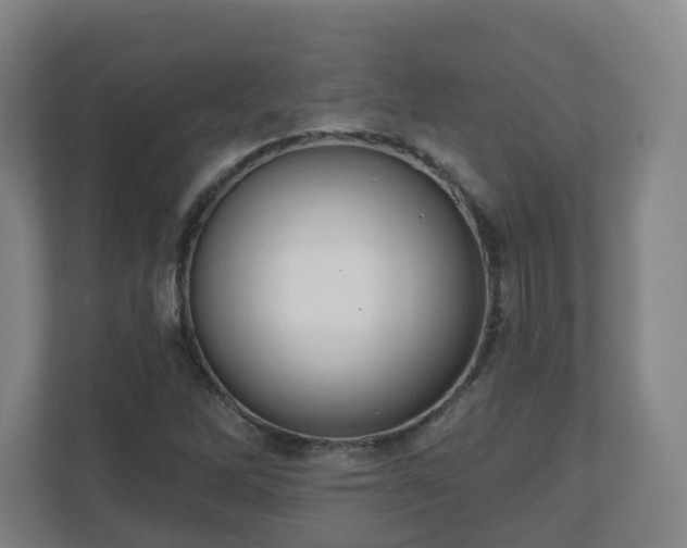 X0000110981262200906261422