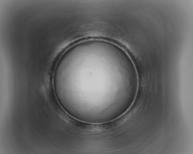 X0000110981263200906261422