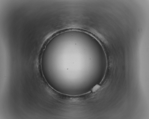 X0000110981264200906261422