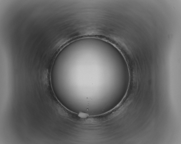 X0000110981265200906261422