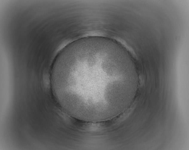 X0000110981266200906261422