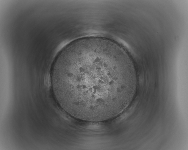 X0000110981267200906261422