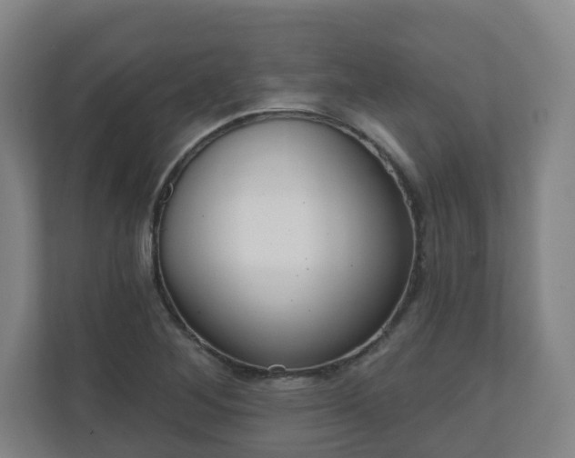 X0000110981268200906261422