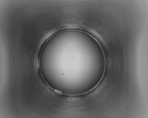 X0000110981269200906261422