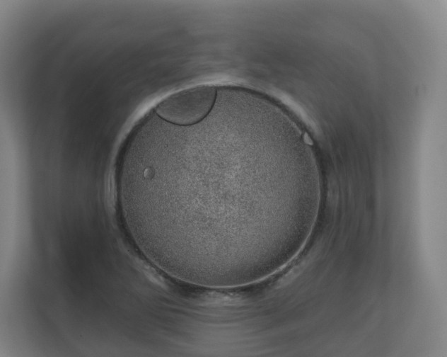 X0000110981270200906261422