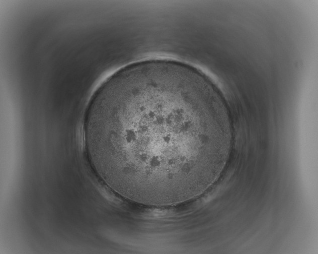 X0000110981271200906261422