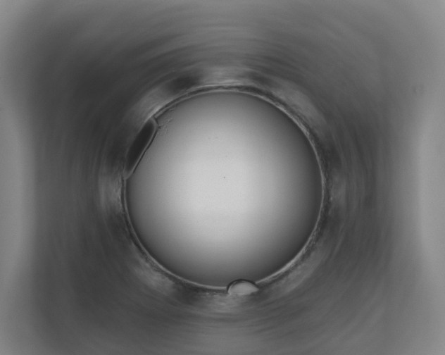 X0000110981273200906261422