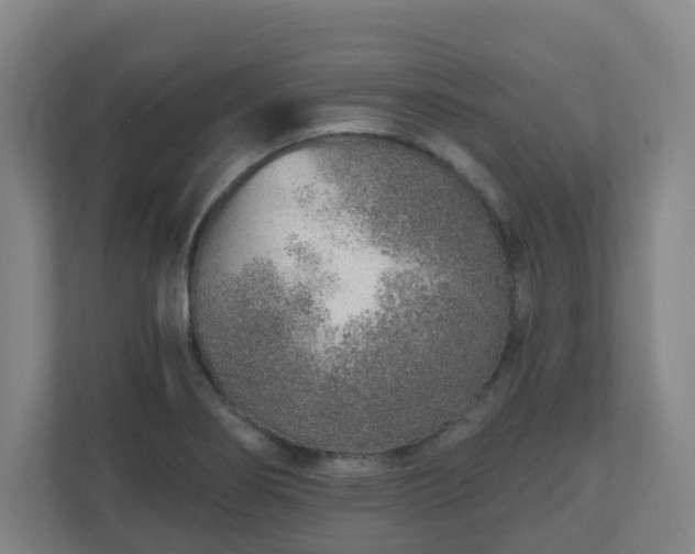 X0000110981274200906261422