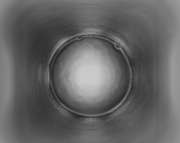 X0000110981275200906261422