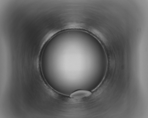 X0000110981277200906261422