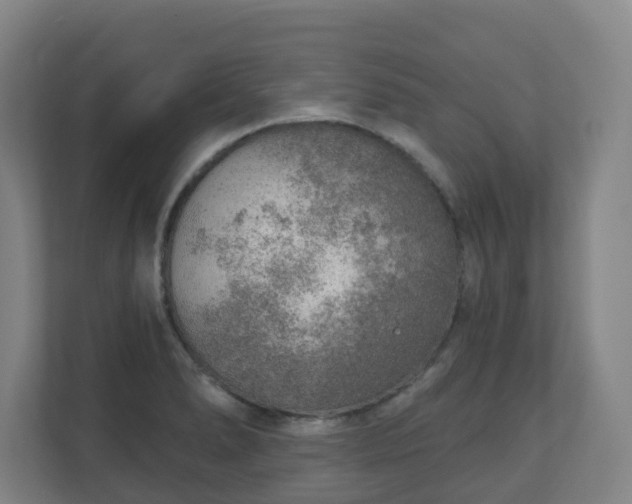 X0000110981278200906261422