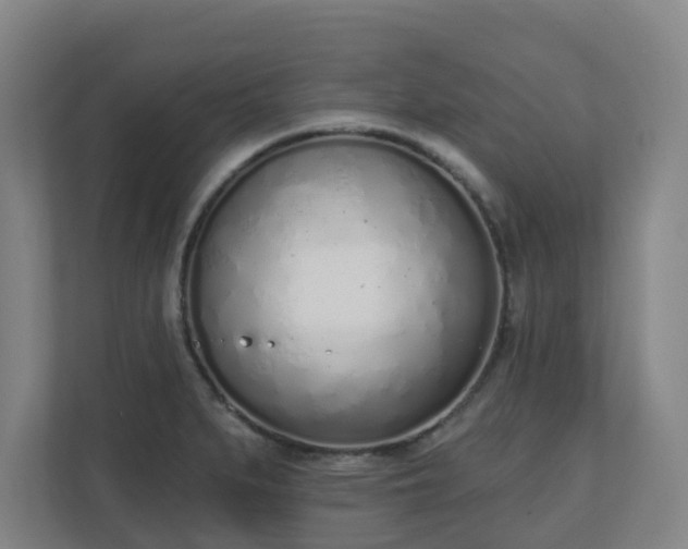 X0000110981279200906261422