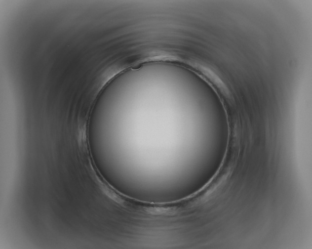 X0000110981281200906261422