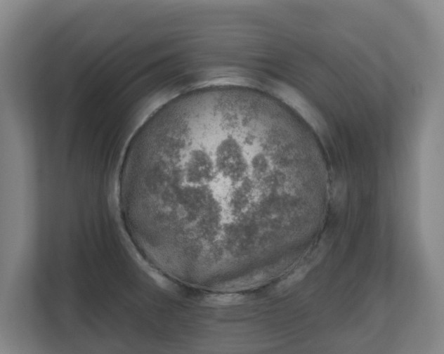 X0000110981282200906261422