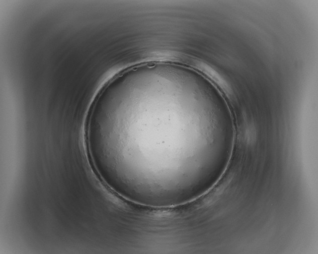 X0000110981283200906261422