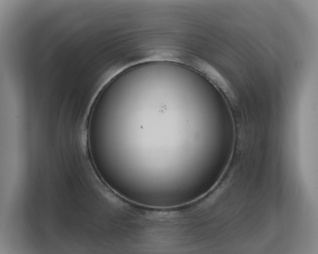 X0000110981284200906261422