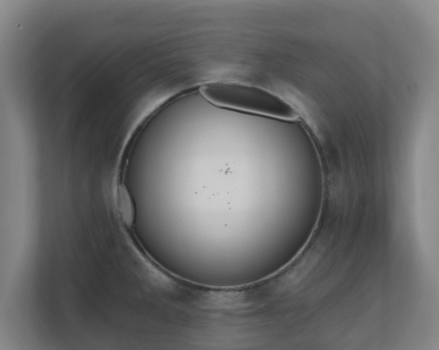 X0000110981285200906261422