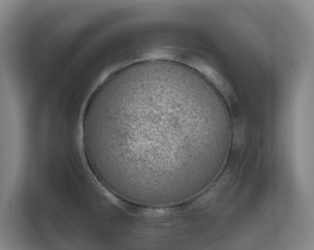 X0000110981286200906261422