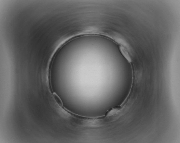 X0000110981288200906261422