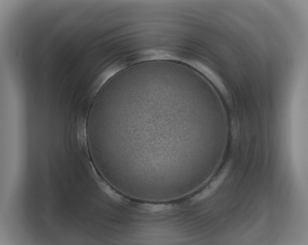 X0000110981289200906261422