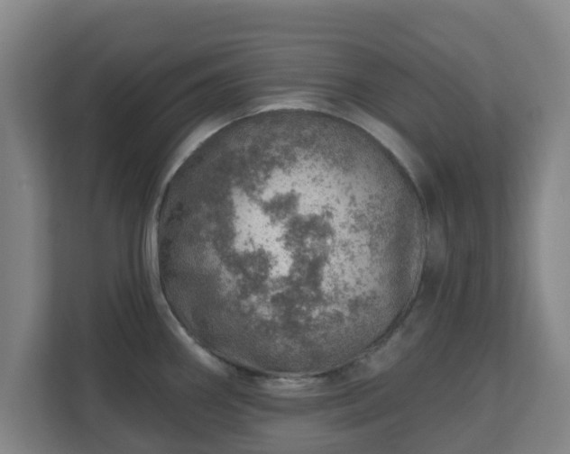 X0000110981290200906261422