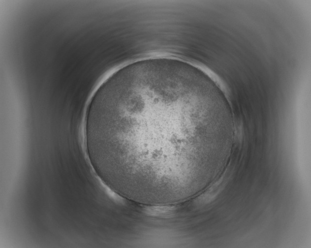 X0000110981294200906261422