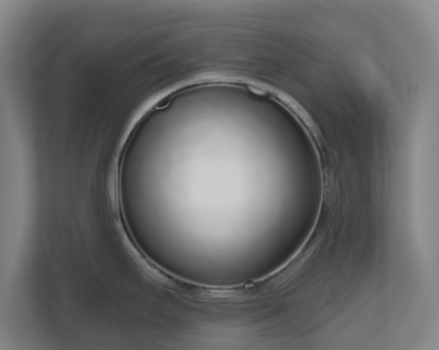 X0000110981295200906261421