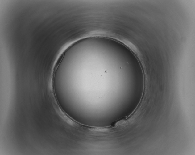 X0000110981296200906261421