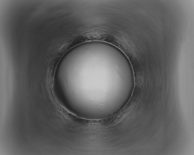 X0000110981297200906261421