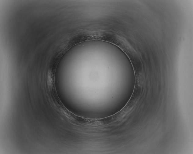 X0000110981298200906261421