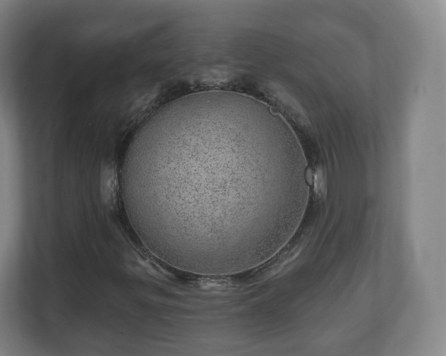 X0000110981299200906261421