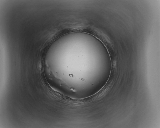 X0000110981300200906261421