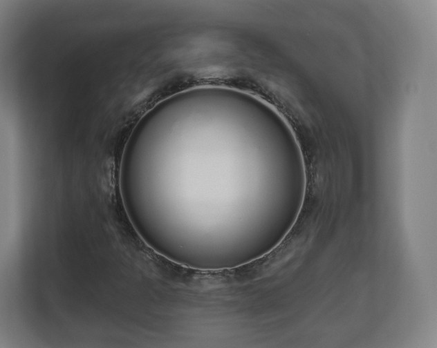 X0000110981301200906261421