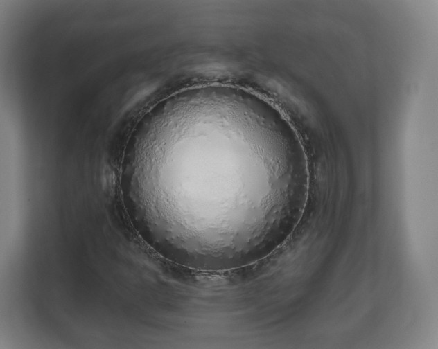 X0000110981302200906261421