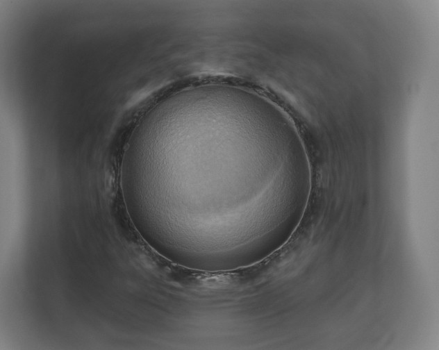 X0000110981303200906261421