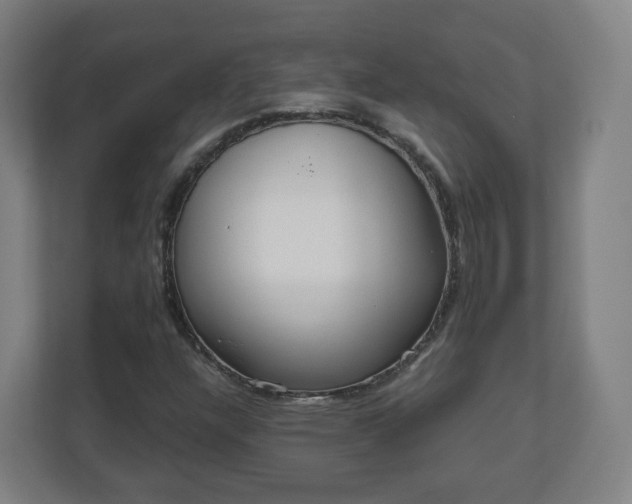 X0000110981304200906261421