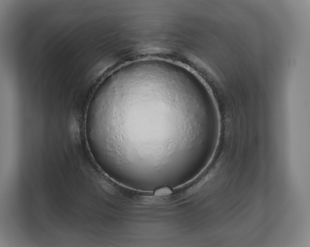 X0000110981305200906261421