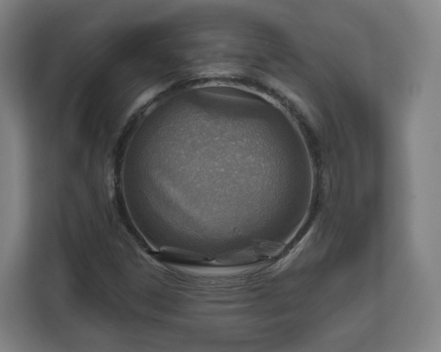 X0000110981306200906261421