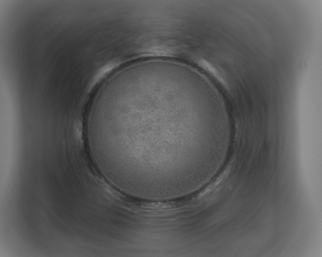 X0000110981307200906261421