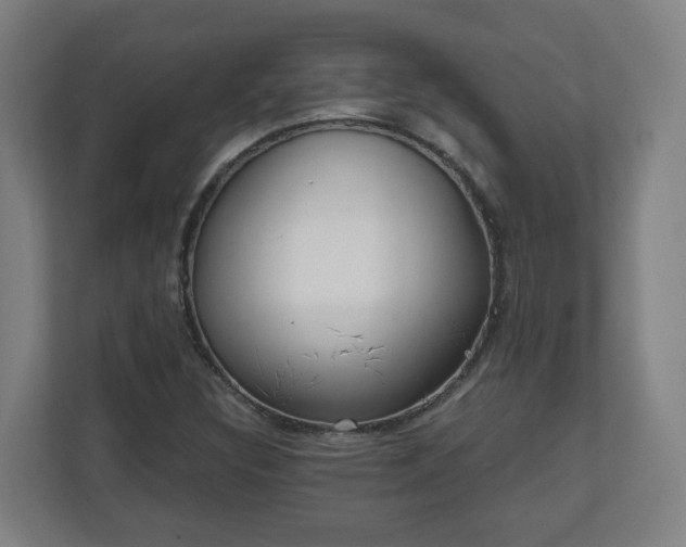 X0000110981308200906261421