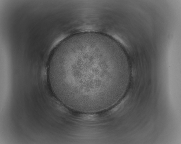 X0000110981309200906261421