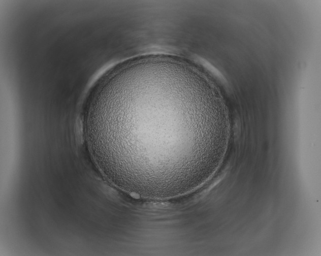 X0000110981310200906261421