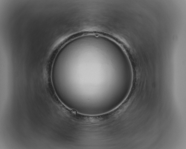 X0000110981311200906261421