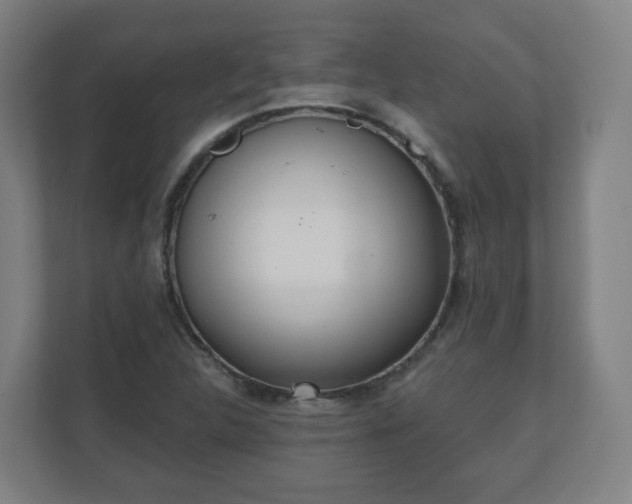 X0000110981312200906261421