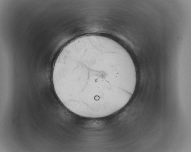 X0000110981314200906261421