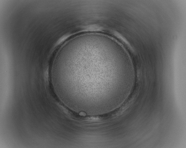 X0000110981315200906261421