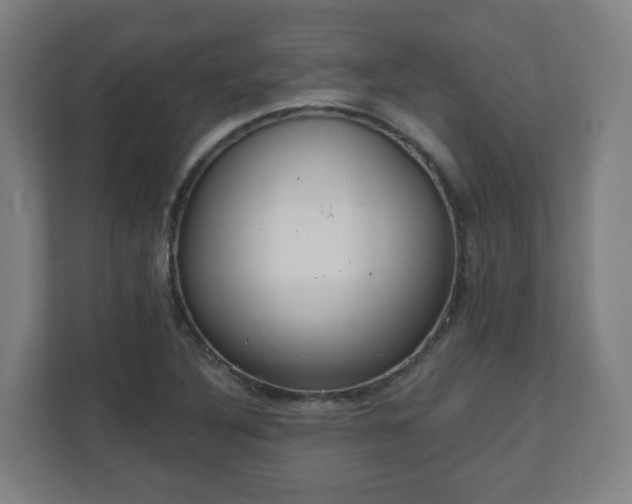 X0000110981316200906261421