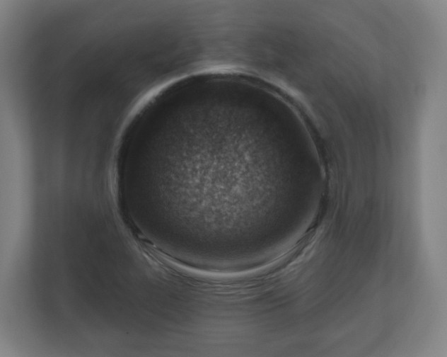 X0000110981319200906261421