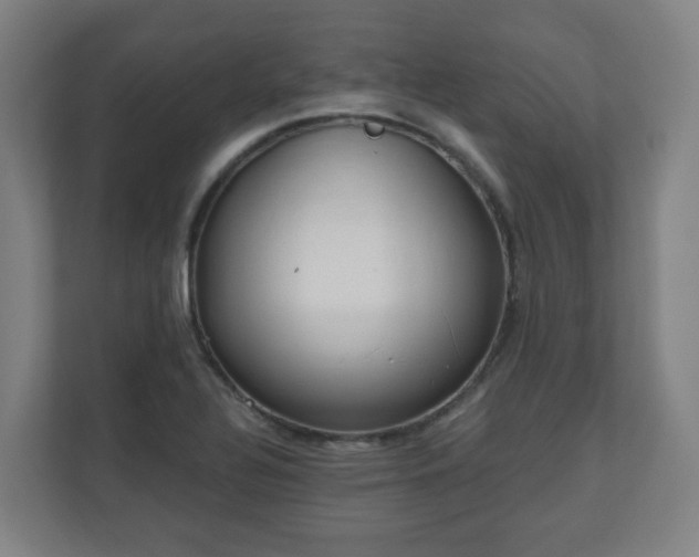 X0000110981320200906261421