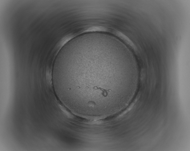 X0000110981321200906261421